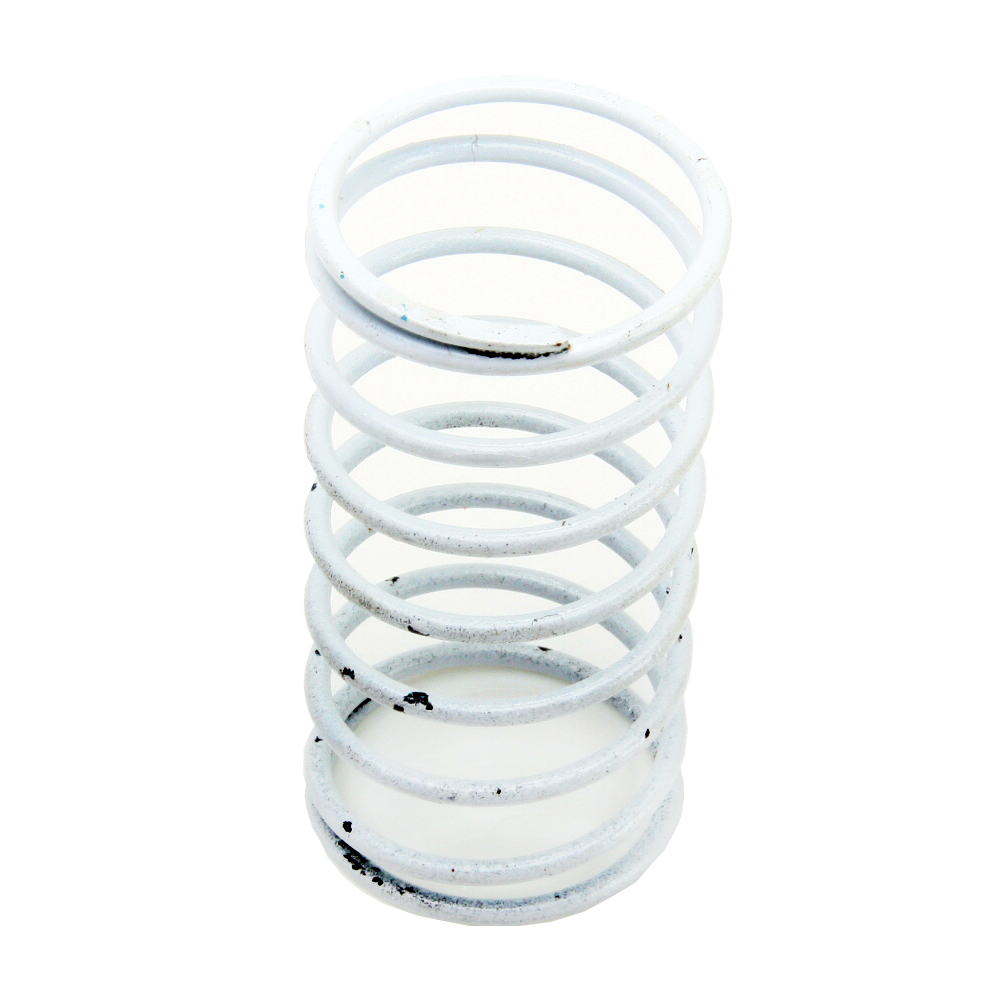 Sensus (Rockwell-Equimeter) 138-18-021-01 White Spring For RPC 1-5 PSI